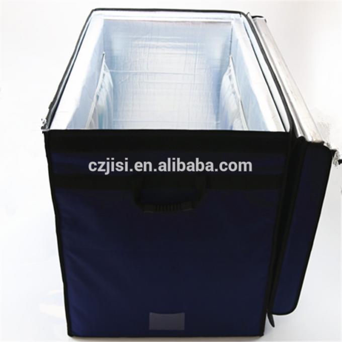 Caixas médicas do refrigerador do armazenamento frio do controle de baixa temperatura com vips e tijolo do gelo para dentro