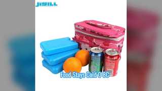 Bolsa de gelo de 600ml para manter os alimentos frios de 0 a 8 ° C