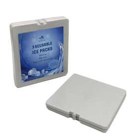 comprar O alimento de FDA aprova o bloco de gelo da lancheira/cor fresca do cinza dos blocos do congelador do saco online manufacture