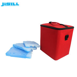 500 ml de PE livre de BPA Placas de frio eutéticas Embalagens congelador para sacos de frio Para alimentos congelados