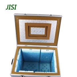 Painéis plásticos da isolação térmica de baixa temperatura do PE para a caixa de empacotamento do gelado