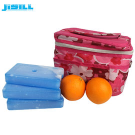 FDA aprovado HDPE plástico duro refrigerador gel Ice Pack acampamento alimentos congelados para refrigerador saco para alimentos congelados