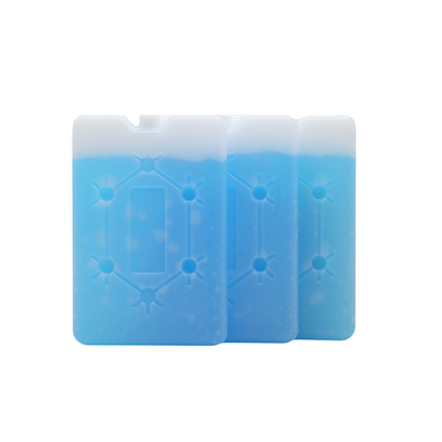 Fábrica personalizada de alta qualidade Flat Ice Cooler Lunch Cooler de tijolo Ice Pack com floco de neve