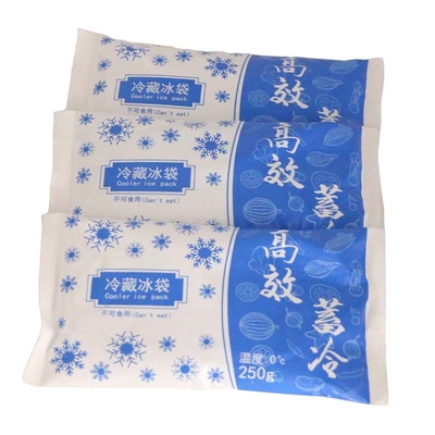 18.6*10.3CM PCM Ice Pack Brick para armazenamento e transporte médico